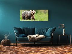 Wall Art Glass Print Picture – Available in 5 different sizes – Animals Series 02: Bear family