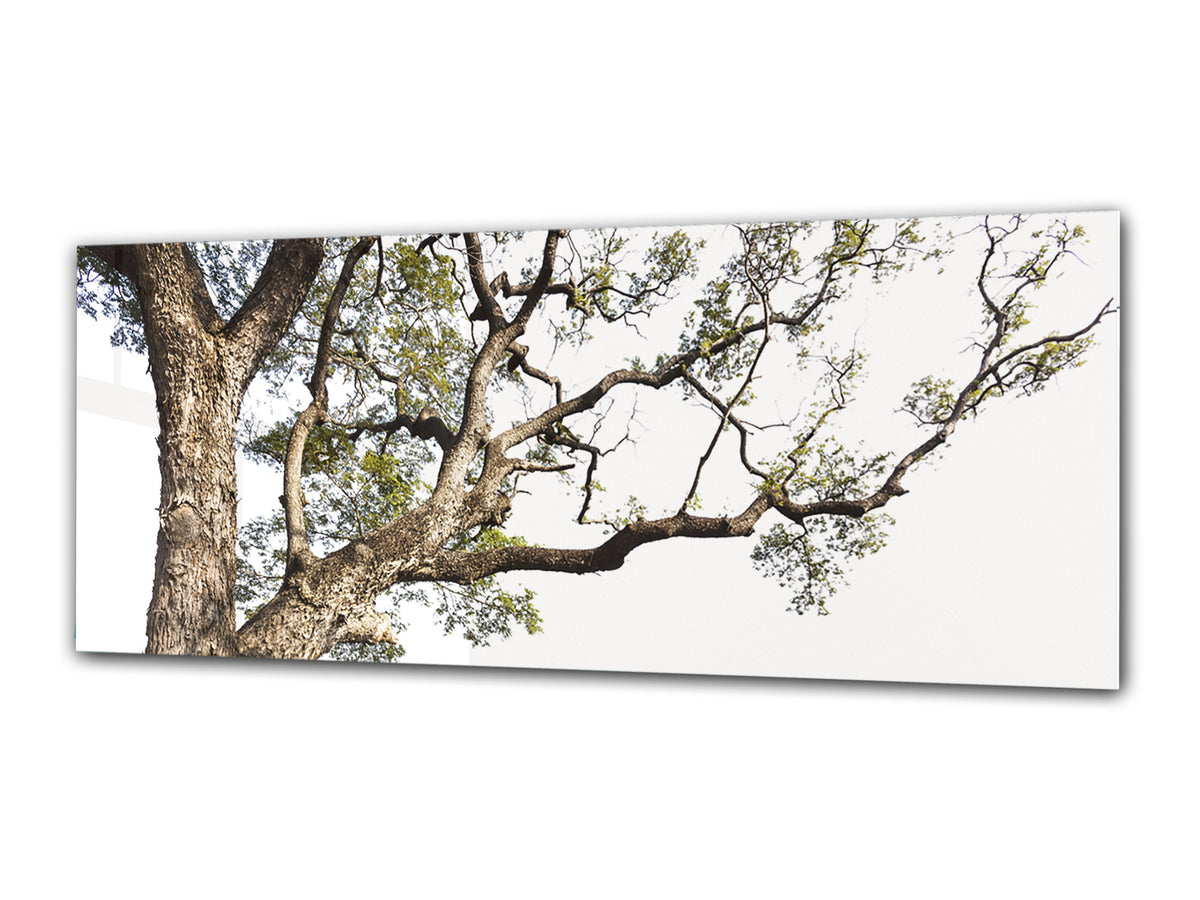 Arte mural con impresión en vidrio: imagen sobre vidrio de 125 x 50 cm (≈ 50” x 20”); Árbol 3