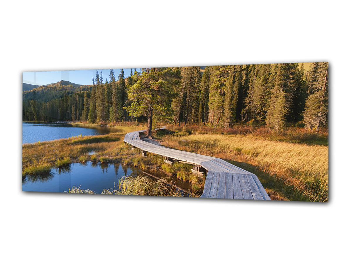 Glass Print Wall Art – Image on Glass 125 x 50 cm (? 50” x 20”) ; Forest 5