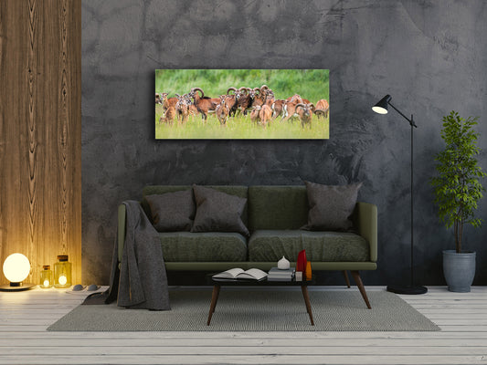 Wall Art Glass Print Picture – Available in 5 different sizes – Animals Series 02: Group of animals on meadow
