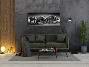 Wall Art Glass Print Picture – Available in 5 different sizes – Animals Series 02: Botswana safari