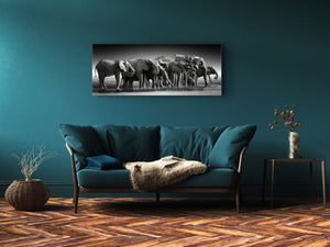 Wall Art Glass Print Picture – Available in 5 different sizes – Animals Series 02: Botswana safari