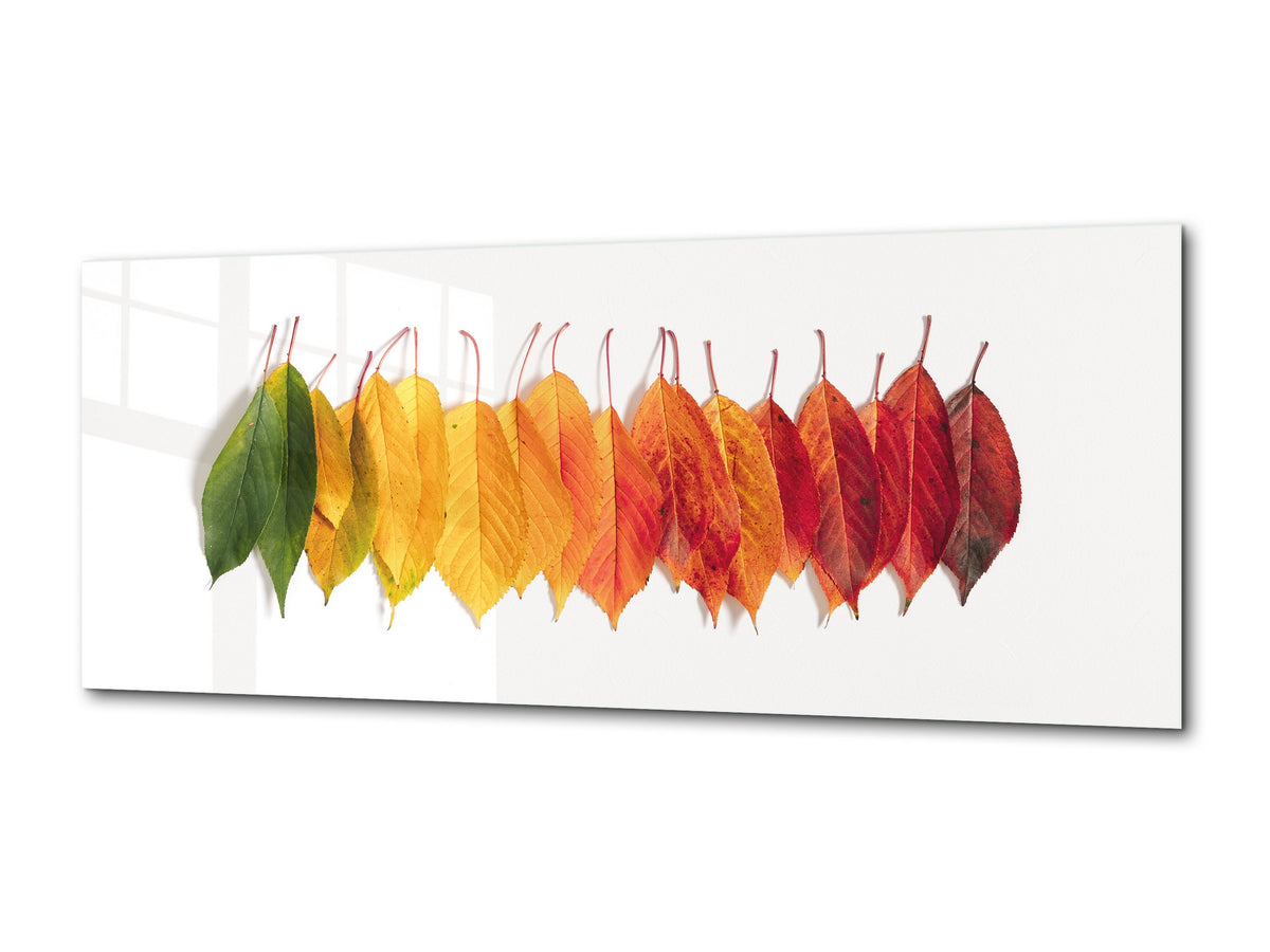 Glass Wall Art  - Available in 5 different sizes – Flowers and leaves Series 03: Autumn creative composition