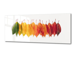 Glass Wall Art  - Available in 5 different sizes – Flowers and leaves Series 03: Autumn creative composition