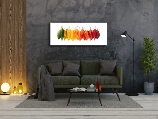Glass Wall Art  - Available in 5 different sizes – Flowers and leaves Series 03: Autumn creative composition