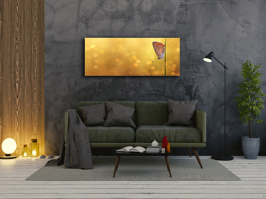 Wall Art Glass Print Picture – Available in 5 different sizes – Animals Series 02: Butterfly on the golden background