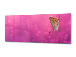 Wall Art Glass Print Picture – Available in 5 different sizes – Animals Series 02: Butterfly on the pink background