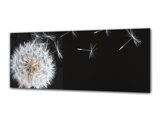 Glass Print Wall Art – Image on Glass 125 x 50 cm (? 50” x 20”) ; Dandelion 3