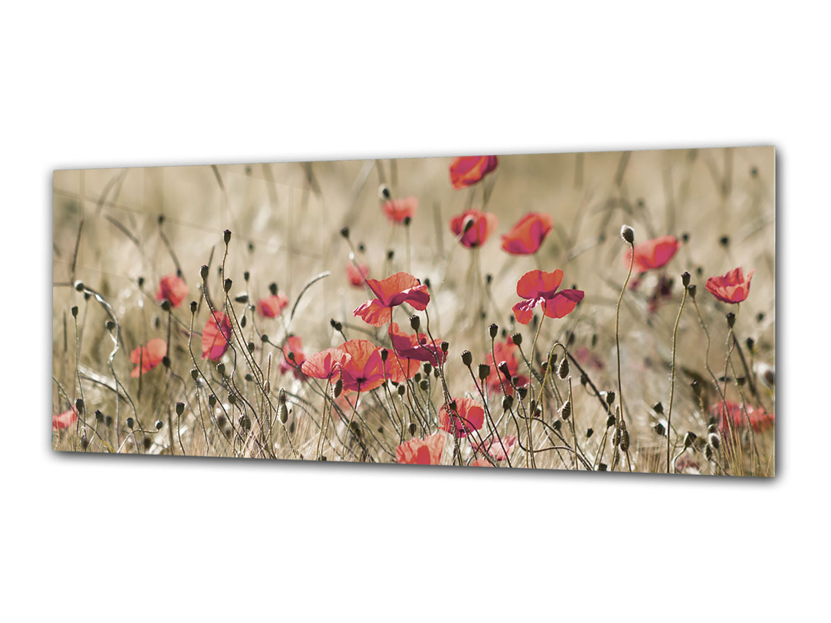 Glass Print Wall Art – Image on Glass 125 x 50 cm (? 50” x 20”) ; Poppies 1