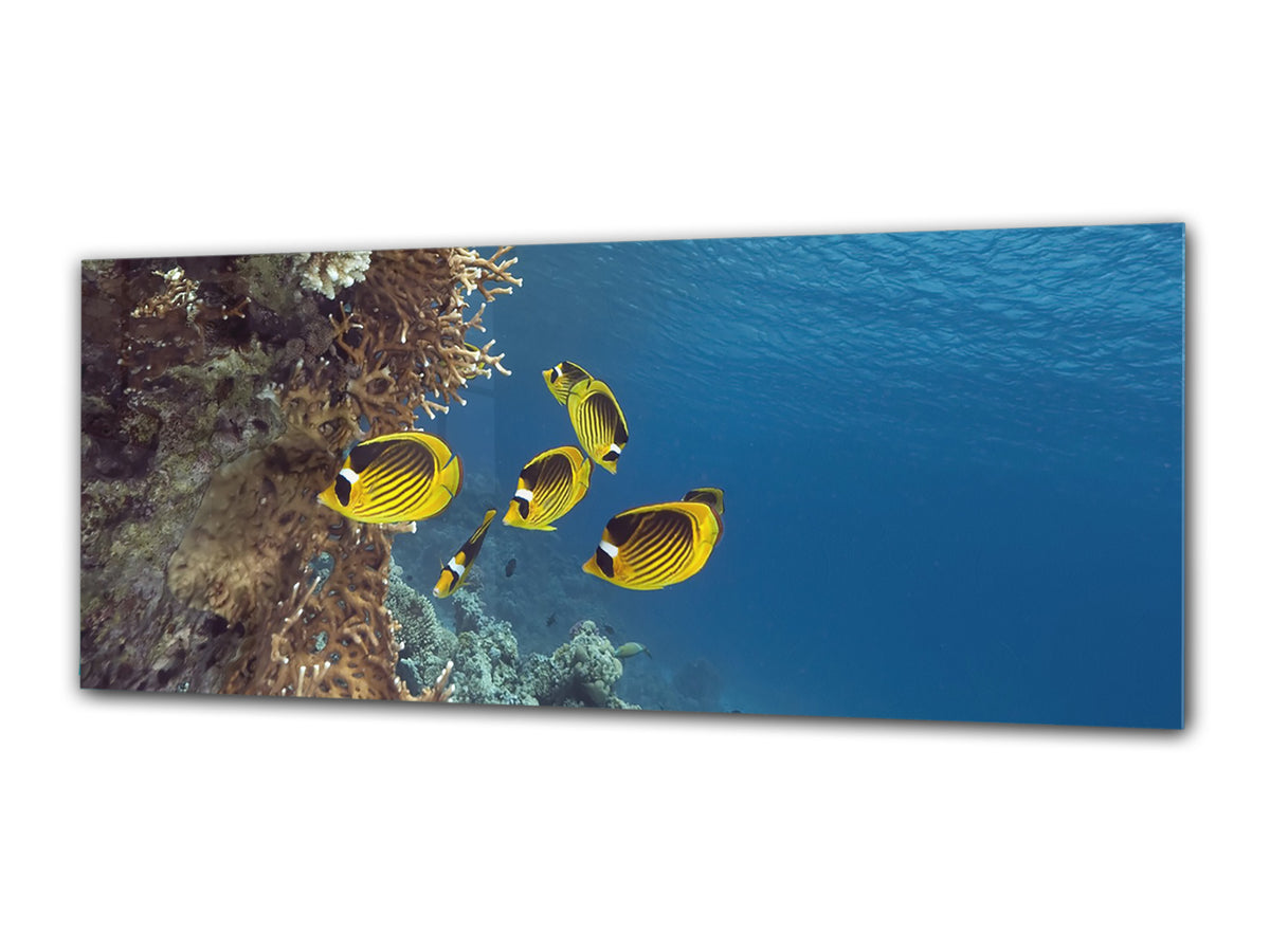 Glass Print Wall Art – Image on Glass 125 x 50 cm (? 50” x 20”) ; Water 6