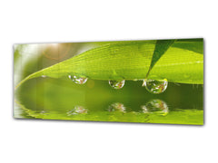 Glass Print Wall Art – Image on Glass 125 x 50 cm (? 50” x 20”) ; Leaf 4