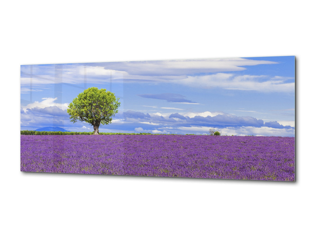 Graphic Art Print on Glass – Available in 5 different sizes – Nature Series 01B: Lavender field