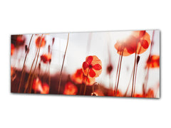 Glass Print Wall Art – Image on Glass 125 x 50 cm (? 50” x 20”) ; Poppies 8