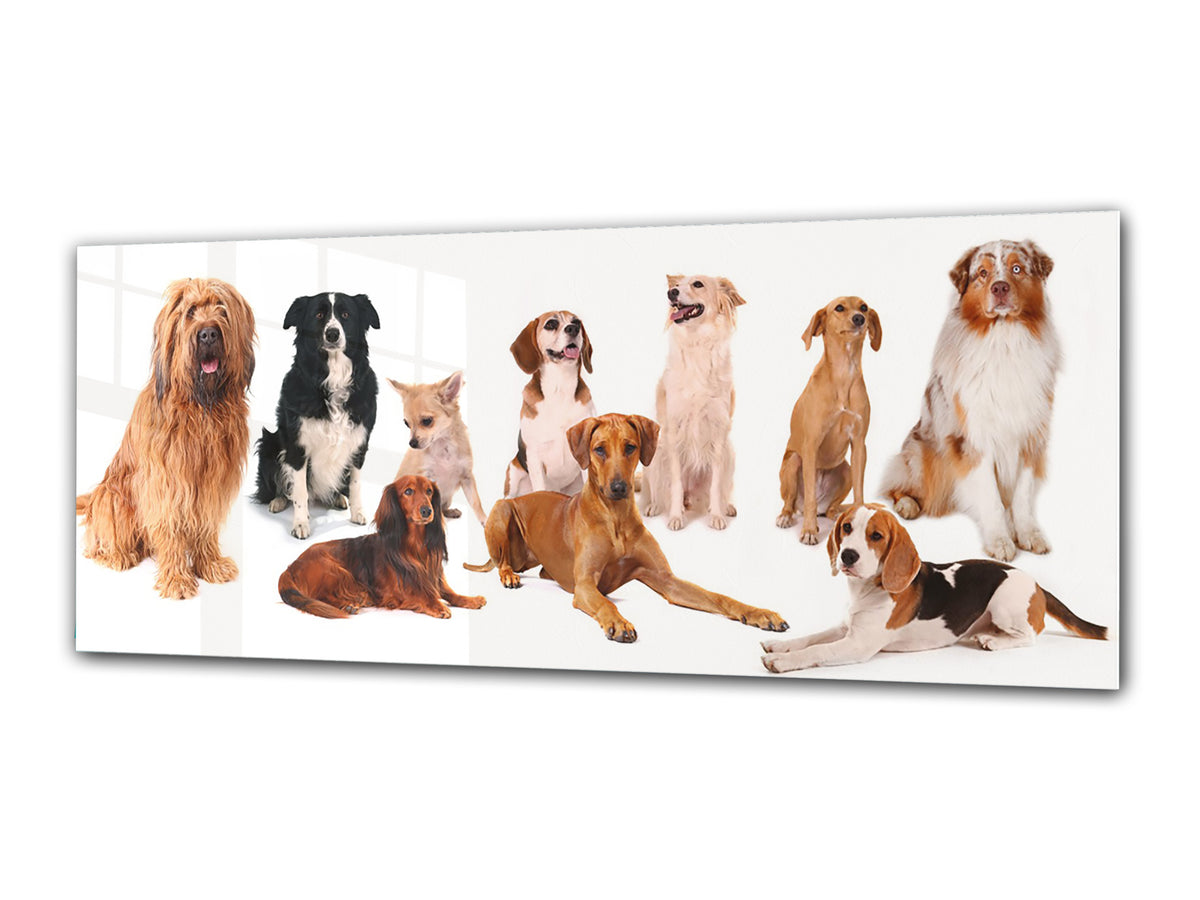 Glasdruck-Wandkunst – Bild auf Glas 125 x 50 cm (≈ 50” x 20”) ; Hunde 2