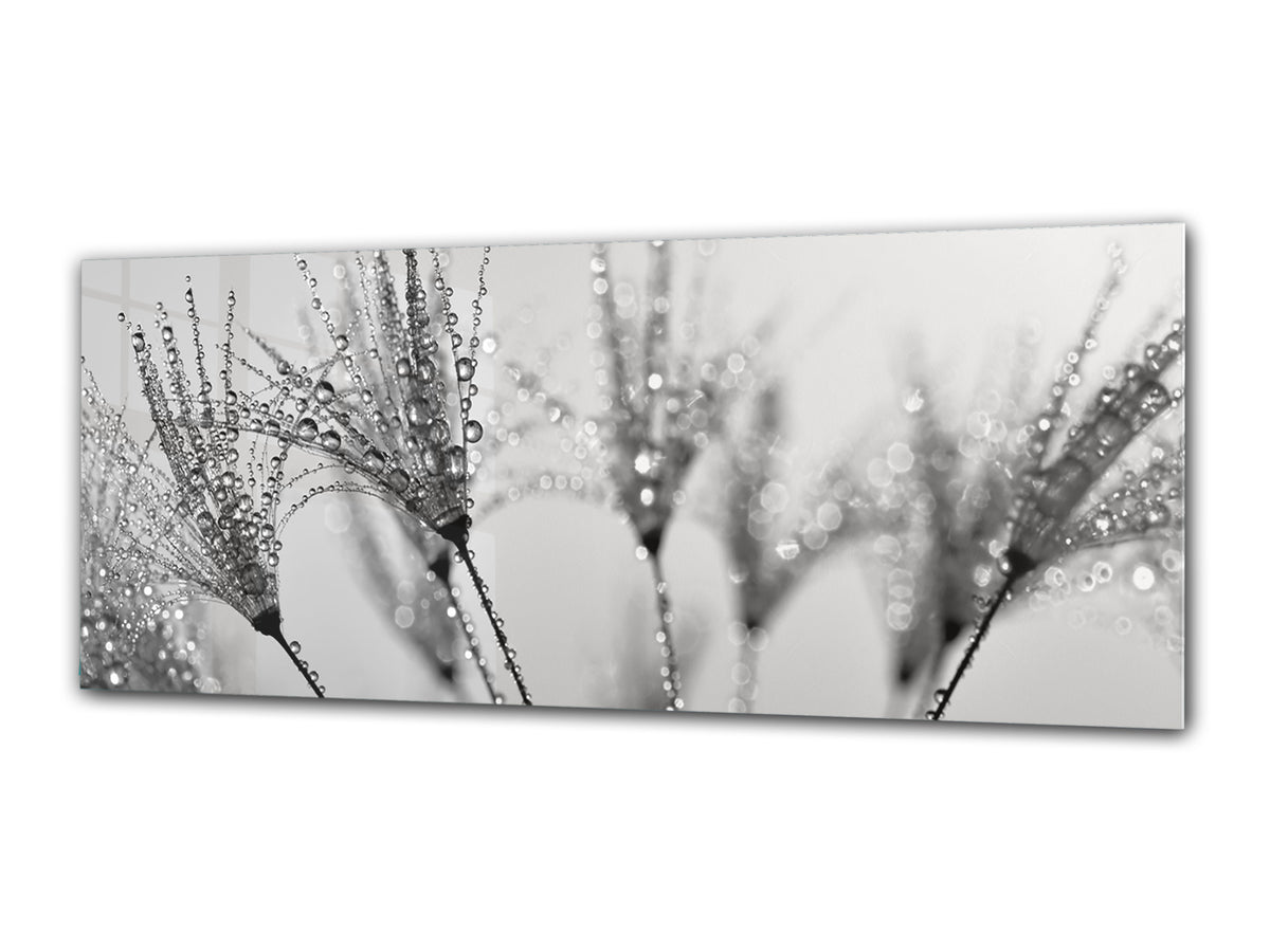 Glass Print Wall Art – Image on Glass 125 x 50 cm (? 50” x 20”) ; Dandelion 9