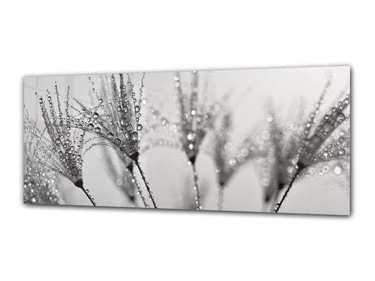 Glass Print Wall Art – Image on Glass 125 x 50 cm (? 50” x 20”) ; Dandelion 9