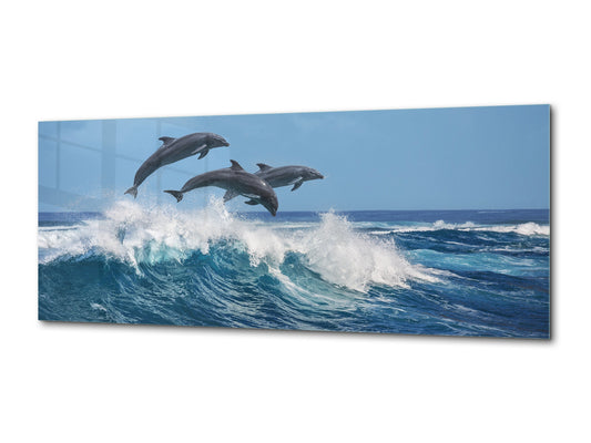 Wall Art Glass Print Picture – Available in 5 different sizes – Animals Series 02: Dolphins
