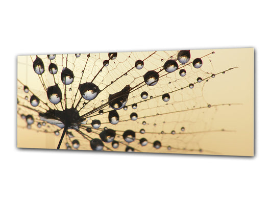 Wall Picture behind Tempered Glass 125 x 50 cm (? 50” x 20”) ; Dandelion 6