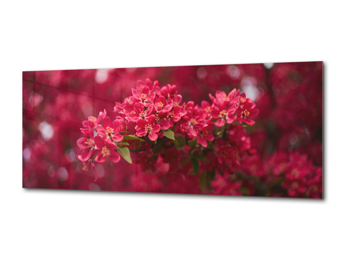 Glass Wall Art – Available in 5 different sizes – Flowers and leaves Series 03: Spring blossom tree