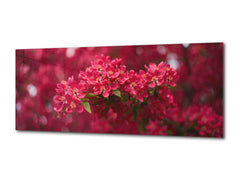Glass Wall Art – Available in 5 different sizes – Flowers and leaves Series 03: Spring blossom tree
