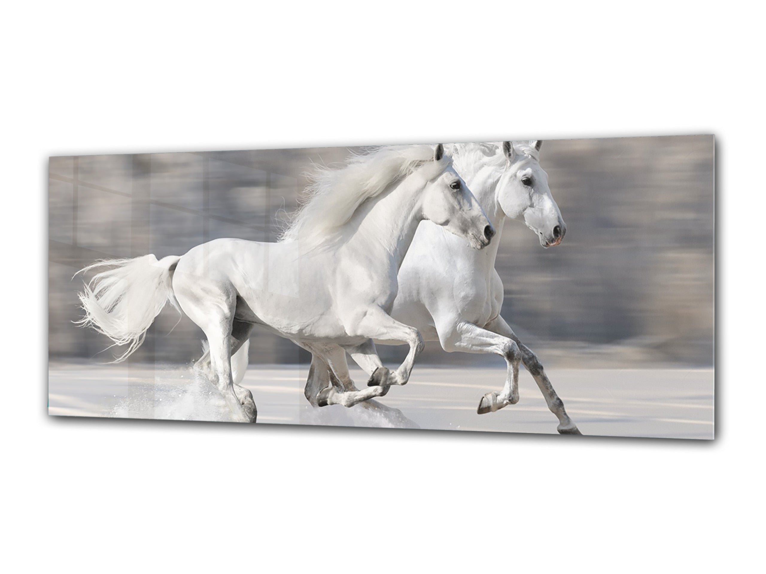 Glass Print Wall Art – Image on Glass 125 x 50 cm (? 50” x 20”) ; Horses 8