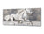 Glass Print Wall Art – Image on Glass 125 x 50 cm (≈ 50” x 20”) ; Horses 8