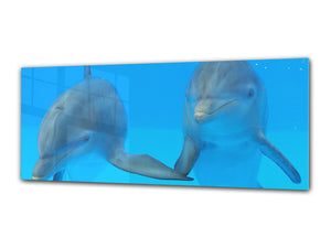 Glass Print Wall Art – Image on Glass 125 x 50 cm (≈ 50” x 20”) ; Dolphins