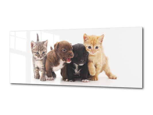 Wall Art Glass Print Picture – Available in 5 different sizes – Animals Series 02: Kittens and puppies