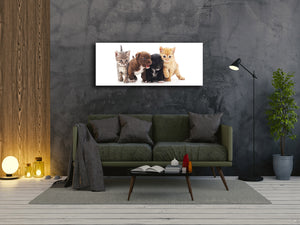 Wall Art Glass Print Picture – Available in 5 different sizes – Animals Series 02: Kittens and puppies