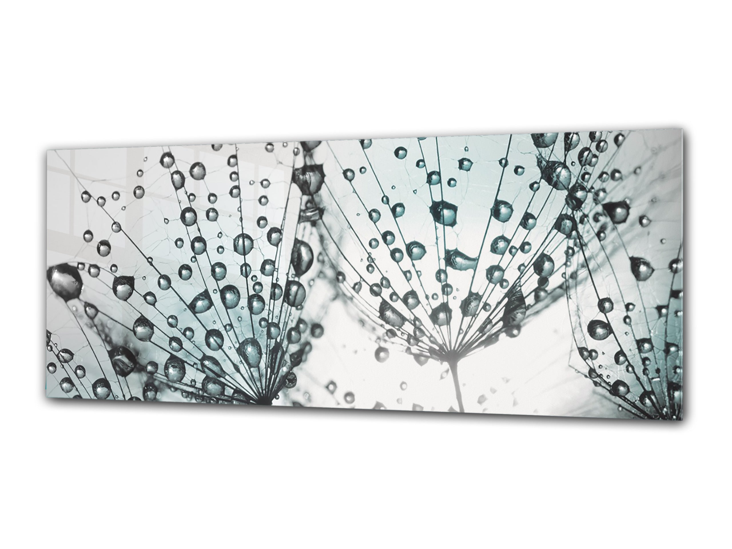 Glass Print Wall Art – Image on Glass 125 x 50 cm (? 50” x 20”) ; Dandelion 7