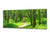 Glass Print Wall Art – Image on Glass 125 x 50 cm (≈ 50” x 20”) ; Forest 9