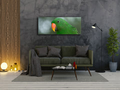 Wandbild auf Glas – Bild auf Glas 125 x 50 cm (≈ 50” x 20”) ; Papagei