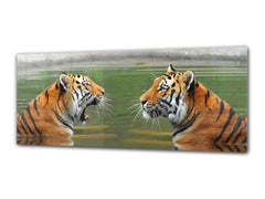 Arte mural con impresión en vidrio: imagen sobre vidrio de 125 x 50 cm (≈ 50” x 20”); Tigres 4