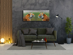 Arte mural con impresión en vidrio: imagen sobre vidrio de 125 x 50 cm (≈ 50” x 20”); Tigres 4