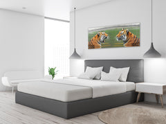 Arte mural con impresión en vidrio: imagen sobre vidrio de 125 x 50 cm (≈ 50” x 20”); Tigres 4