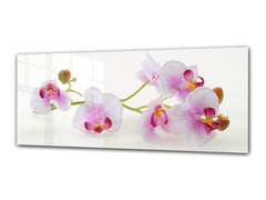 Glass Print Wall Art – Image on Glass 125 x 50 cm (? 50” x 20”) ; Flower 25