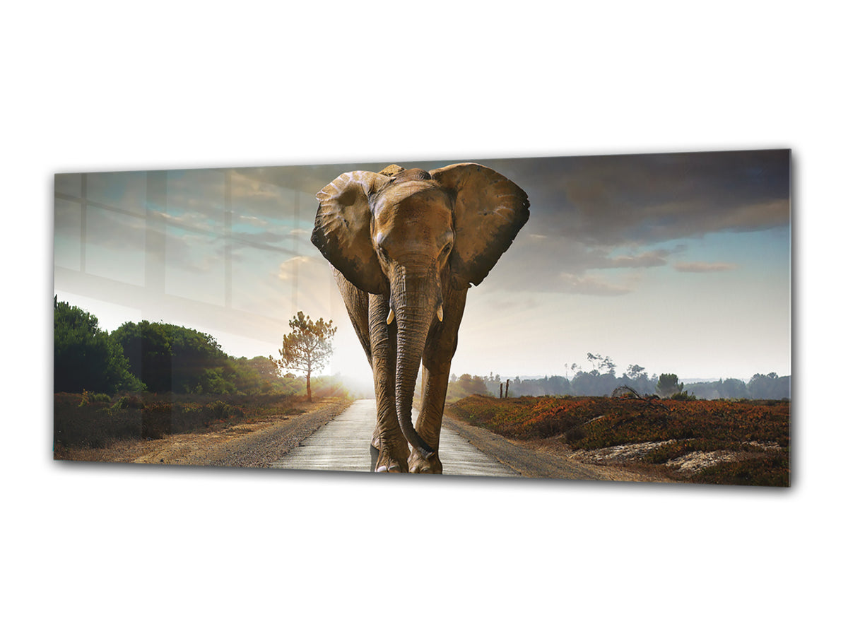 Wall Picture behind Tempered Glass 125 x 50 cm (? 50” x 20”) ; Majestic Elephant