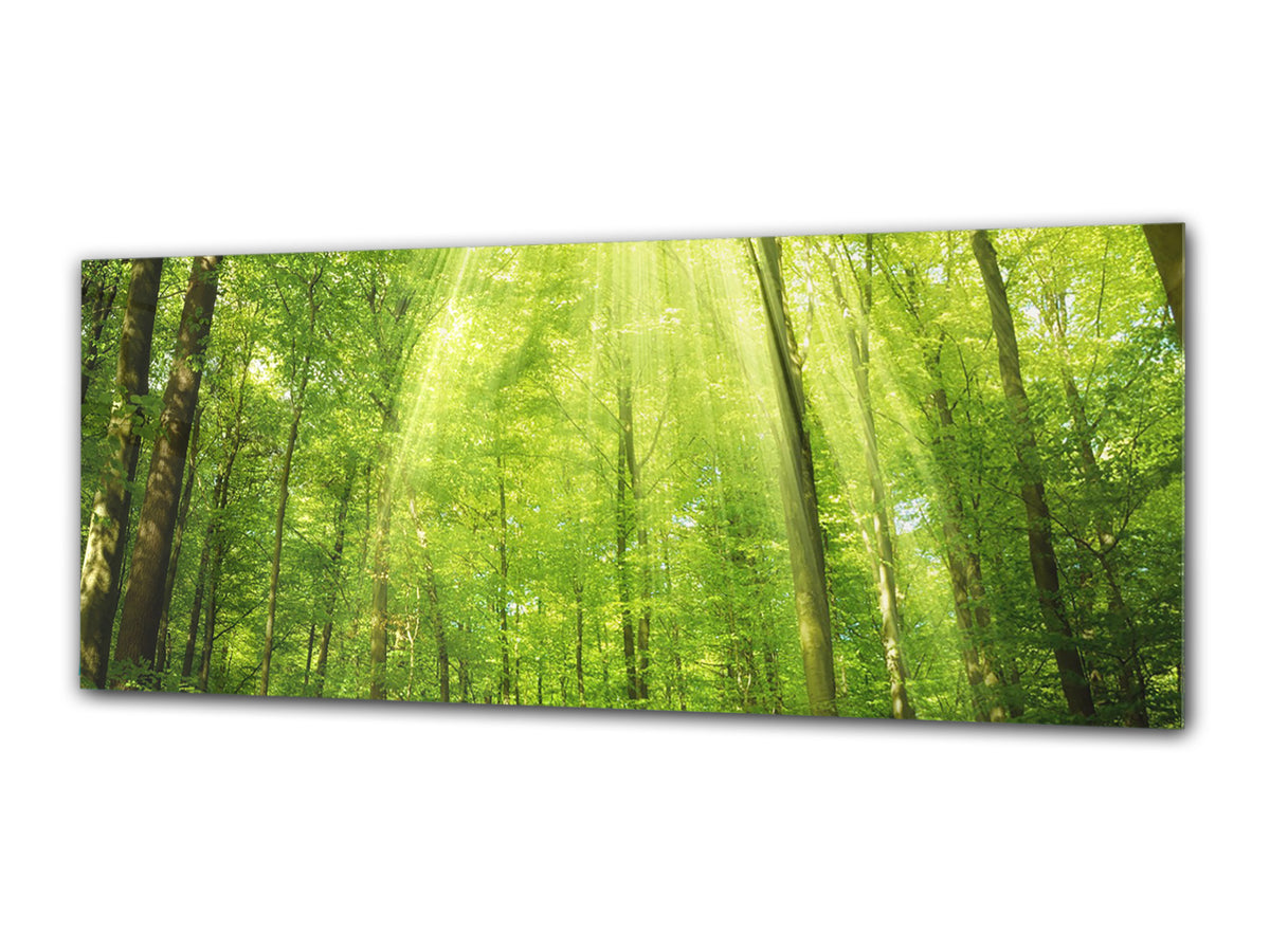 Glass Print Wall Art – Image on Glass 125 x 50 cm (? 50” x 20”) ; Forest 16