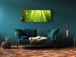 Glass Print Wall Art – Image on Glass 125 x 50 cm (≈ 50” x 20”) ; Forest 16