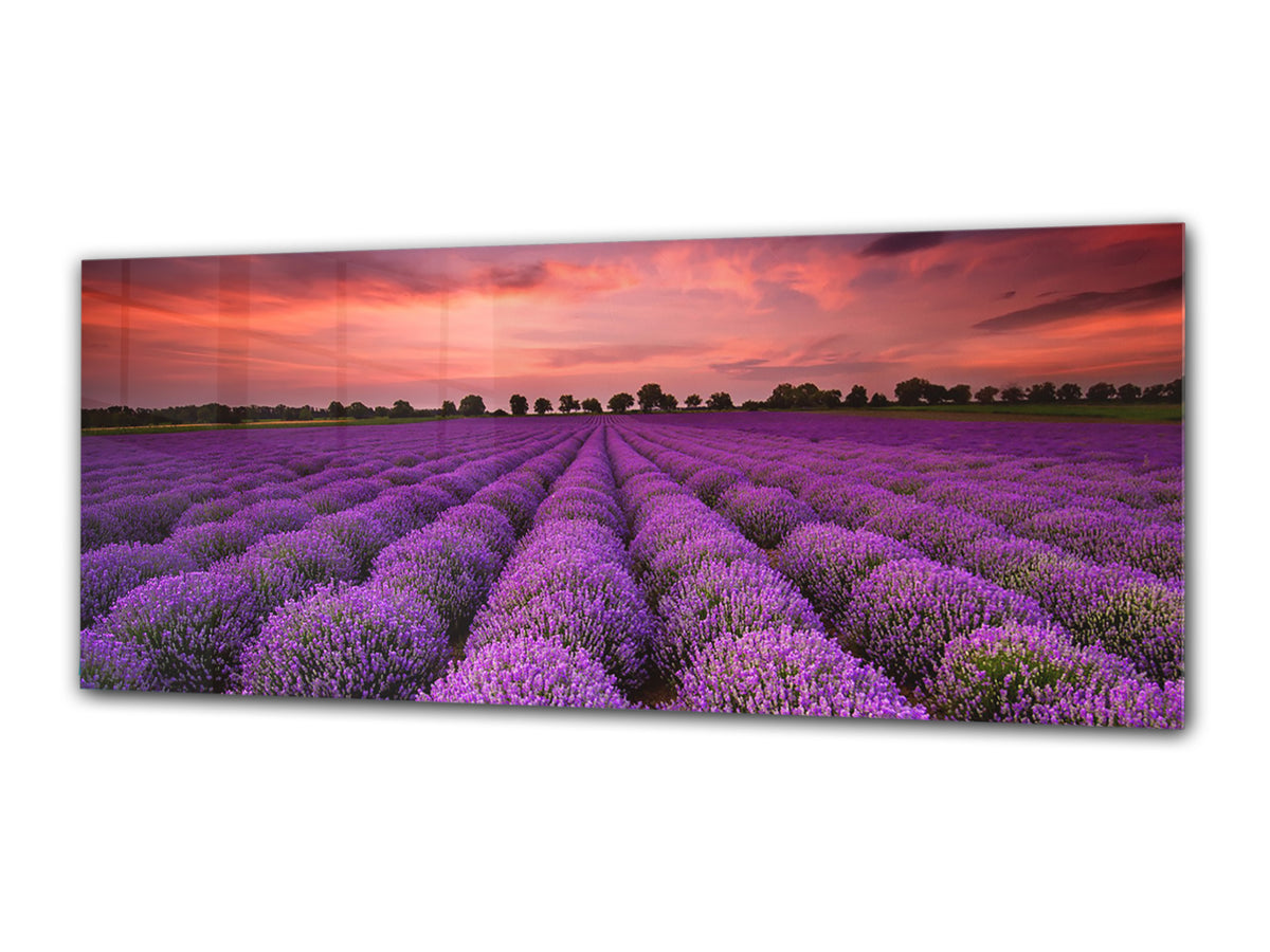 Glass Print Wall Art – Image on Glass 125 x 50 cm (? 50” x 20”) ; Heathers 2