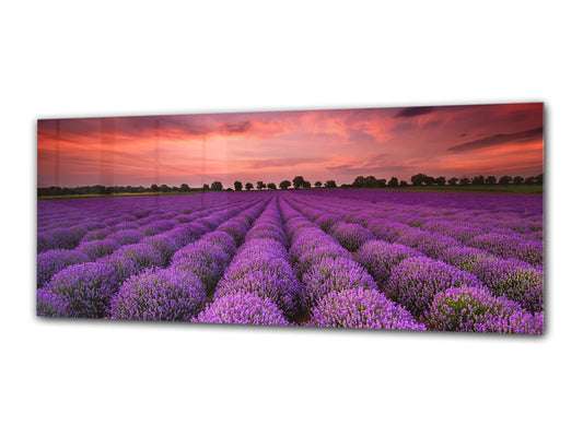 Glass Print Wall Art – Image on Glass 125 x 50 cm (? 50” x 20”) ; Heathers 2