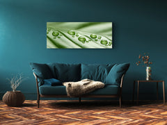 Glass Print Wall Art – Image on Glass 125 x 50 cm (? 50” x 20”) ; Leaf 1