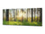 Glass Print Wall Art – Image on Glass 125 x 50 cm (≈ 50” x 20”) ; Forest 6