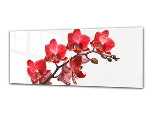 Glass Print Wall Art – Image on Glass 125 x 50 cm (≈ 50” x 20”) ; Orchid 3