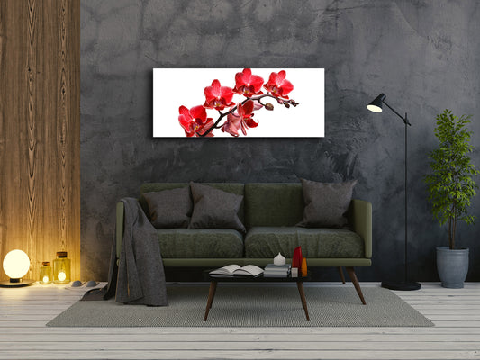 Glass Print Wall Art – Image on Glass 125 x 50 cm (? 50” x 20”) ; Orchid 3