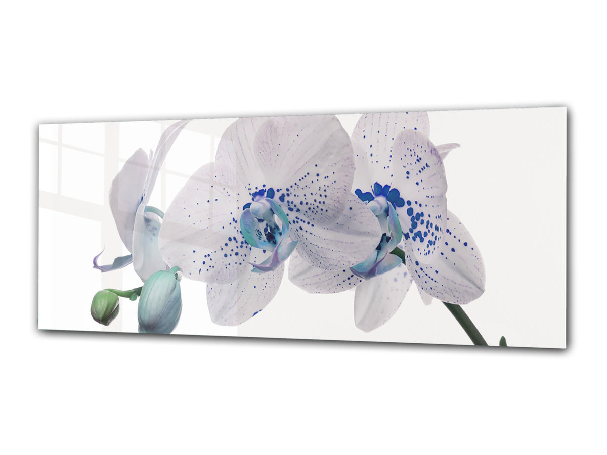 Glass Print Wall Art – Image on Glass 125 x 50 cm (? 50” x 20”) ; Orchid 10