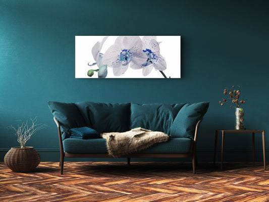 Glass Print Wall Art – Image on Glass 125 x 50 cm (? 50” x 20”) ; Orchid 10