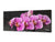 Glass Print Wall Art – Image on Glass 125 x 50 cm (≈ 50” x 20”) ; Orchid 7
