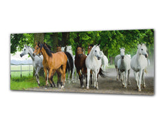 Glass Print Wall Art – Image on Glass 125 x 50 cm (? 50” x 20”) ; Horses 5