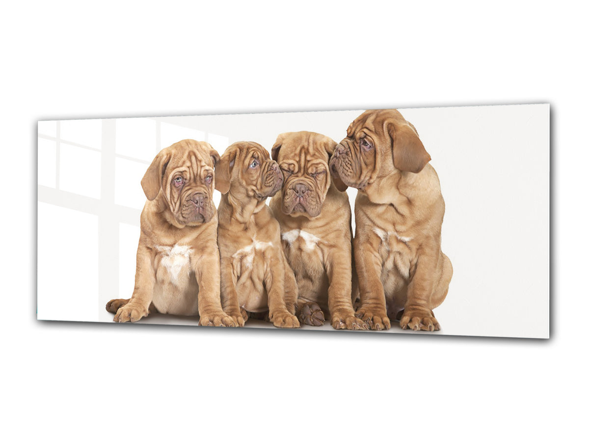 Glass Print Wall Art – Image on Glass 125 x 50 cm (? 50” x 20”) ; Puppies